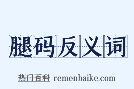 腿码反义词是什么意思的图片